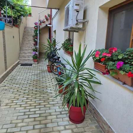 Casa Nina Проживание в семье Эфорие Норд